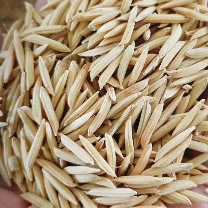 Jasmine-Basmati