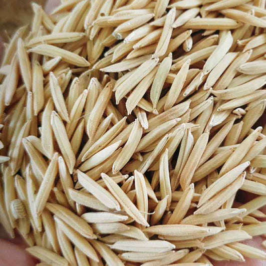 Thai Basmati (Goey Chai)